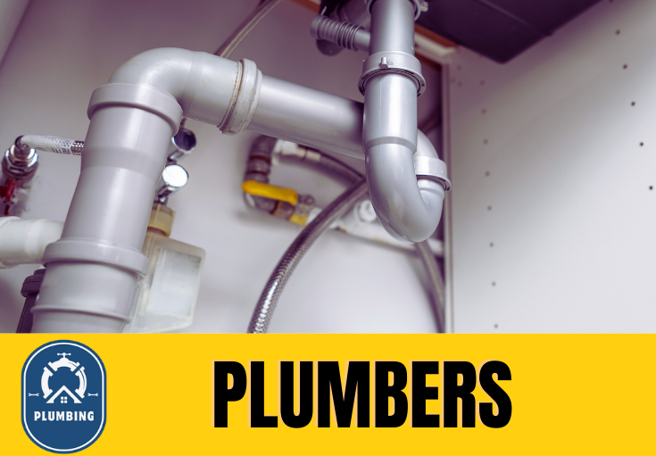  plumber Bamford